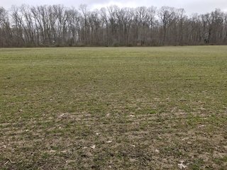 Property photo 34 - LAND AUCTION - 156.63+/- ACRES OFFERED IN 7 TRACTS IN ALLEN COUNTY, INDIANA